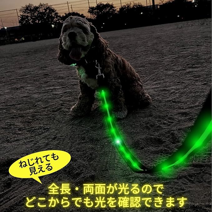 TERUI Lights 光る リード 犬 LED 充電式 USB ライト ペットの夜のお散歩に最適 1.2m 1サイズ 小型犬 中型犬 大型犬 用品 蛍光 (グリーン)_画像3