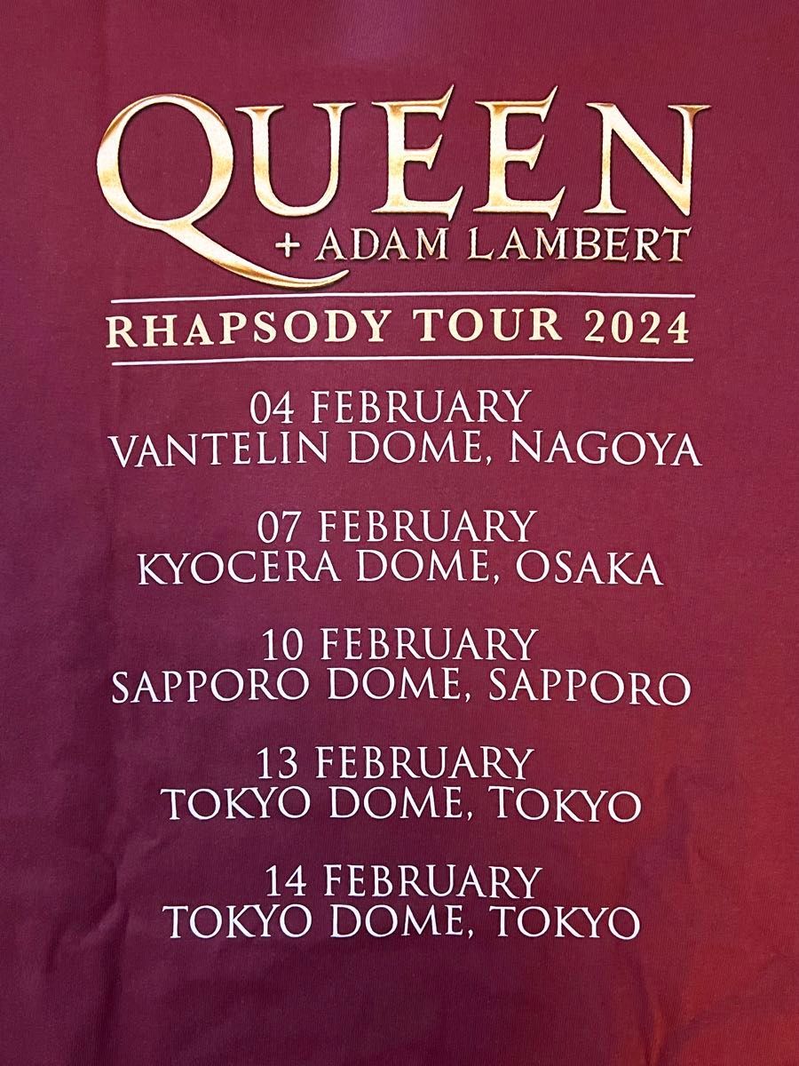 Mサイズ クイーン Queen アダムランバート Tシャツ 2024 東京ドーム 