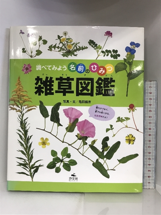 雑草図鑑 (調べてみよう名前のひみつ) 汐文社 亀田 龍吉_画像1