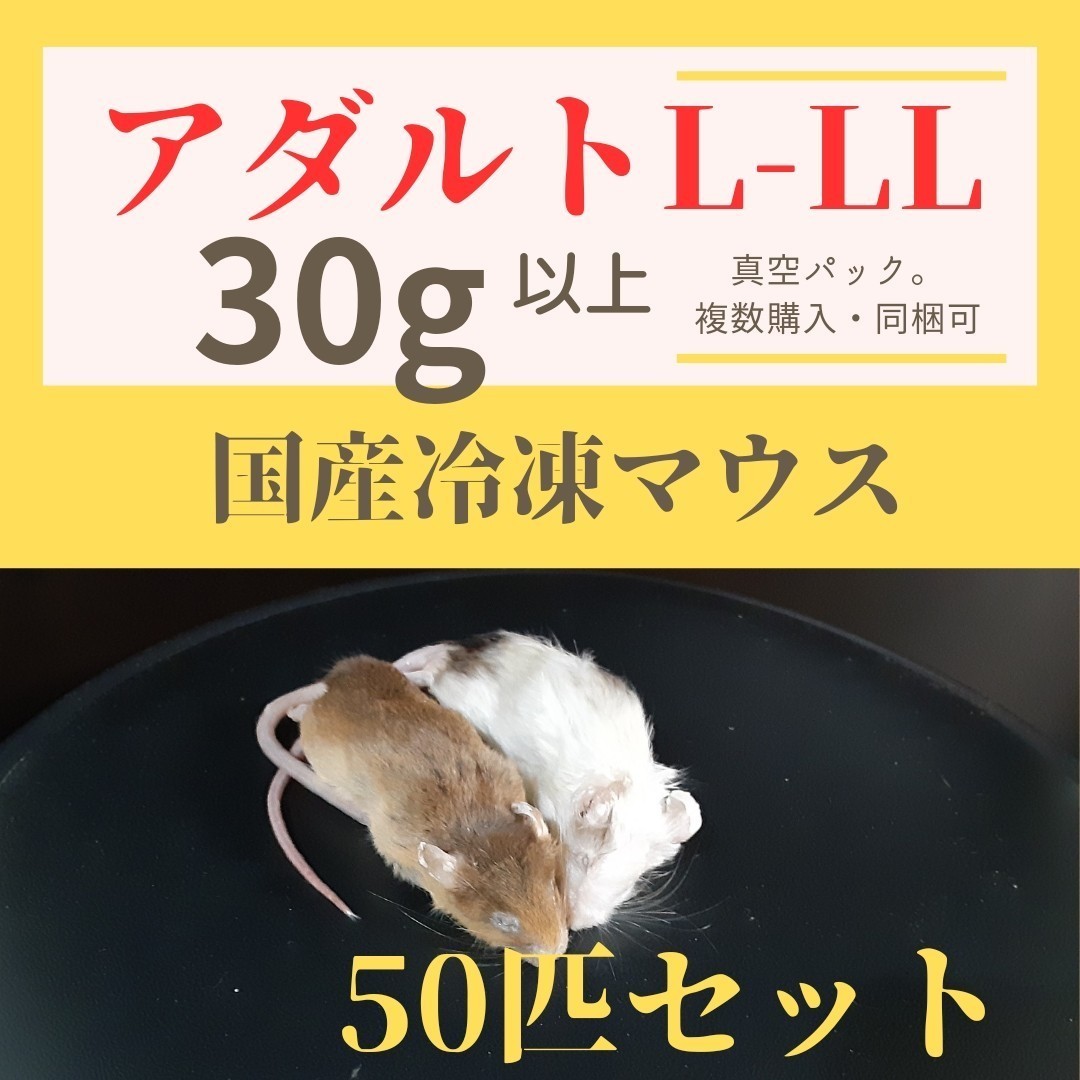 【国産冷凍マウス】アダルトL-LLサイズ50匹セット(30g以上)_画像1