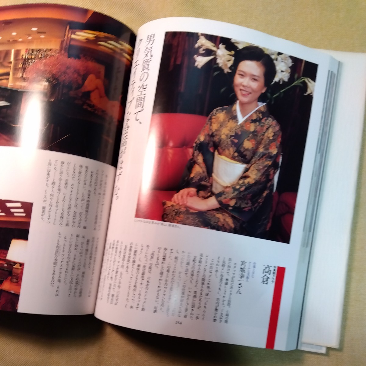 銀座を彩る女たち 稀書 1984年、345ページ 銀座のママとお店の客席の写真集 - 複数被写体 銀座を彩る女たち 稀書 1984年、345ページ 銀座のママとお店の客席の写真集 - 複数被写体