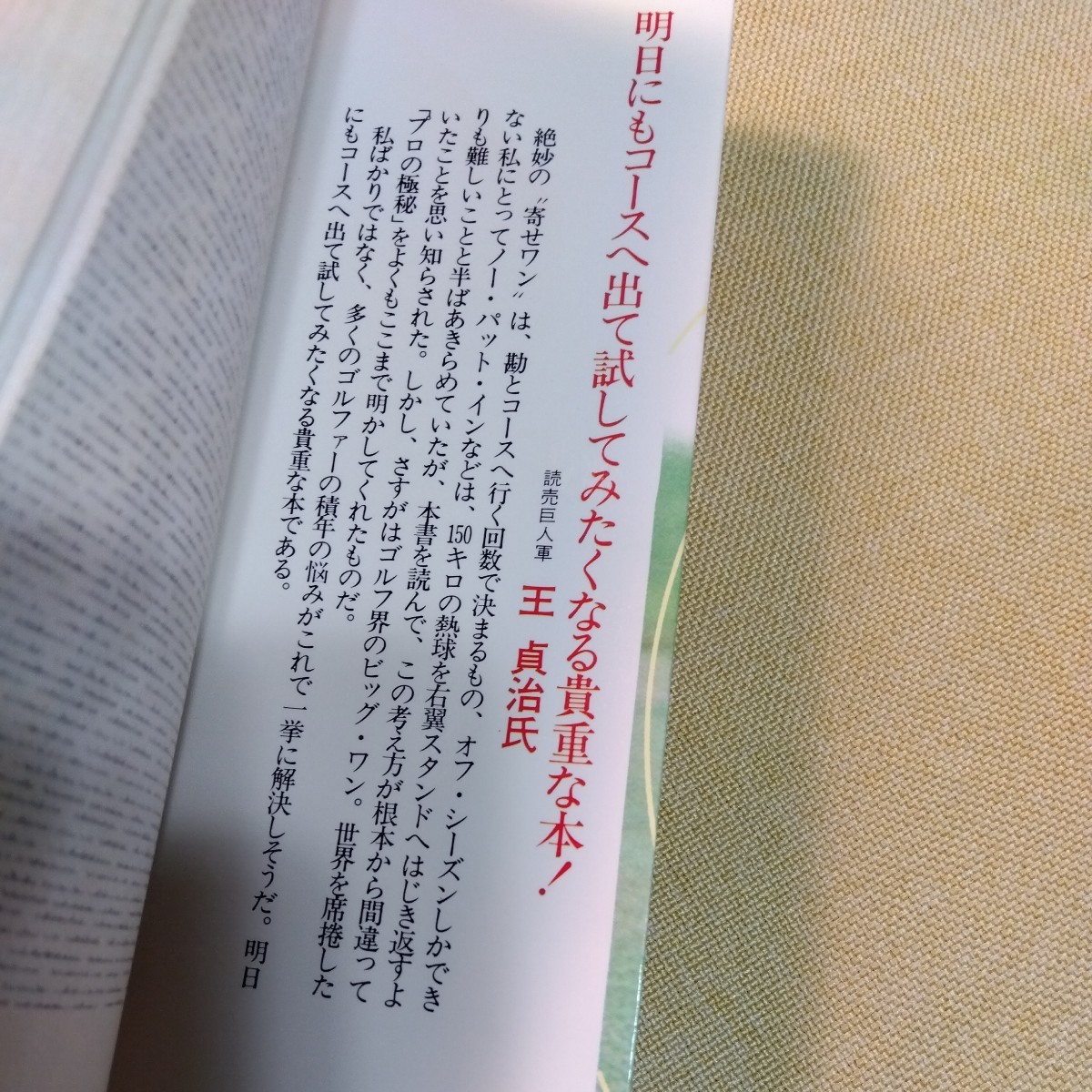 たちまちうまくなる驚異の寄せワン　青木功　ゴルフ書　昭和58年18版　252ページ_画像5