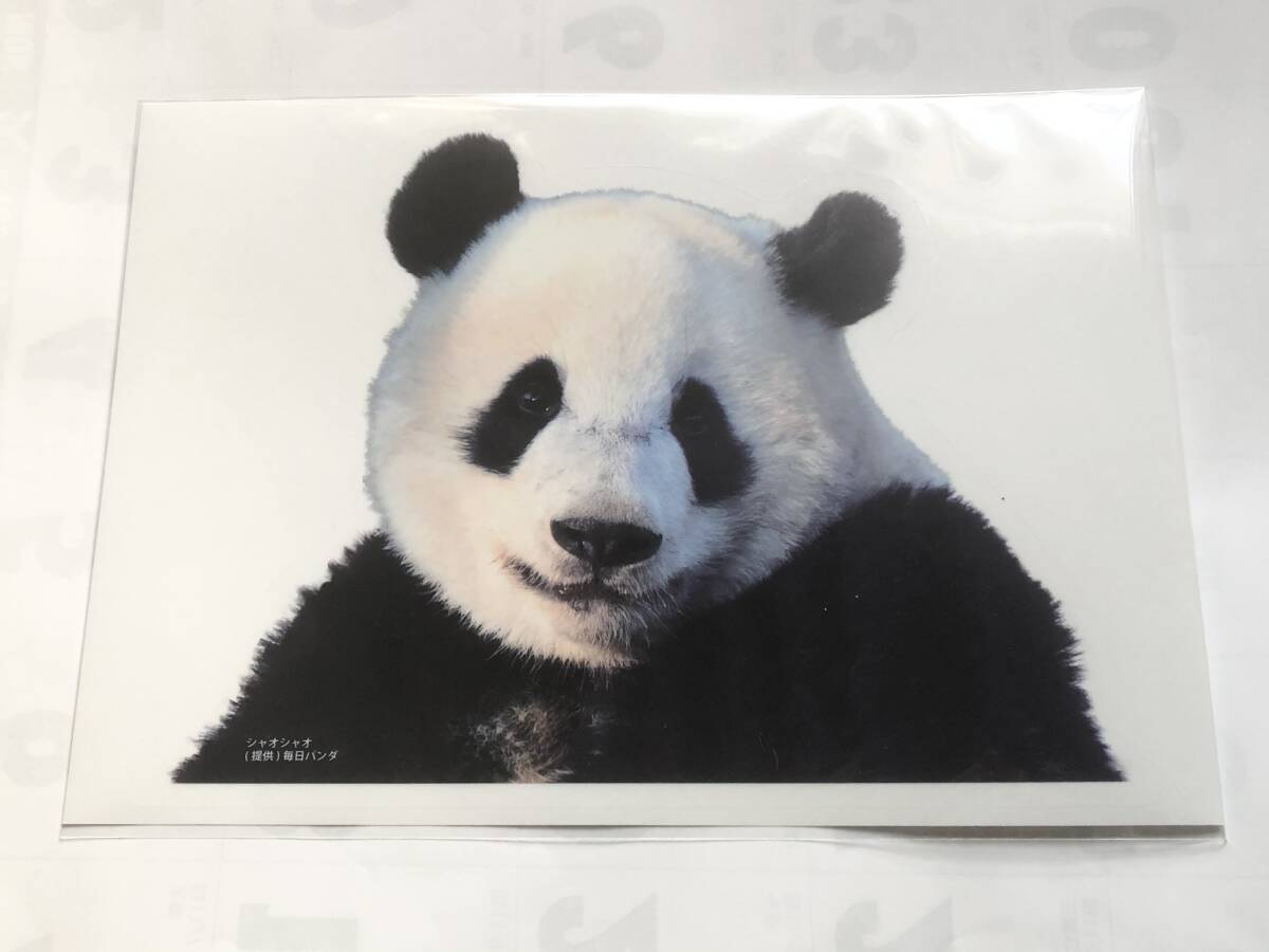  car o car o see protection Panda Family extra-large sticker A4 size ( wall seal ) Ueno pine slope shop Ueno zoo ja Ian to Panda order goods made in Japan 