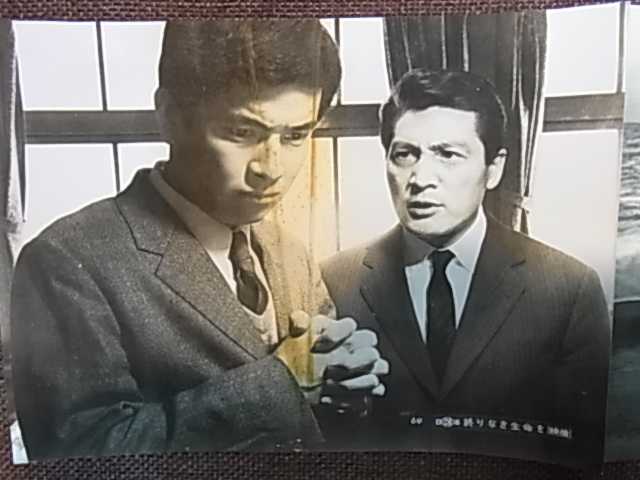 1967年　山内賢/岡田英次/和泉雅子　「終わりなき生命を」　ロビーカード　3枚_画像4