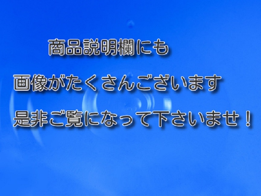 06kl05　地唄三味線用　水牛駒　鉛付き　2点　ケース付_画像2