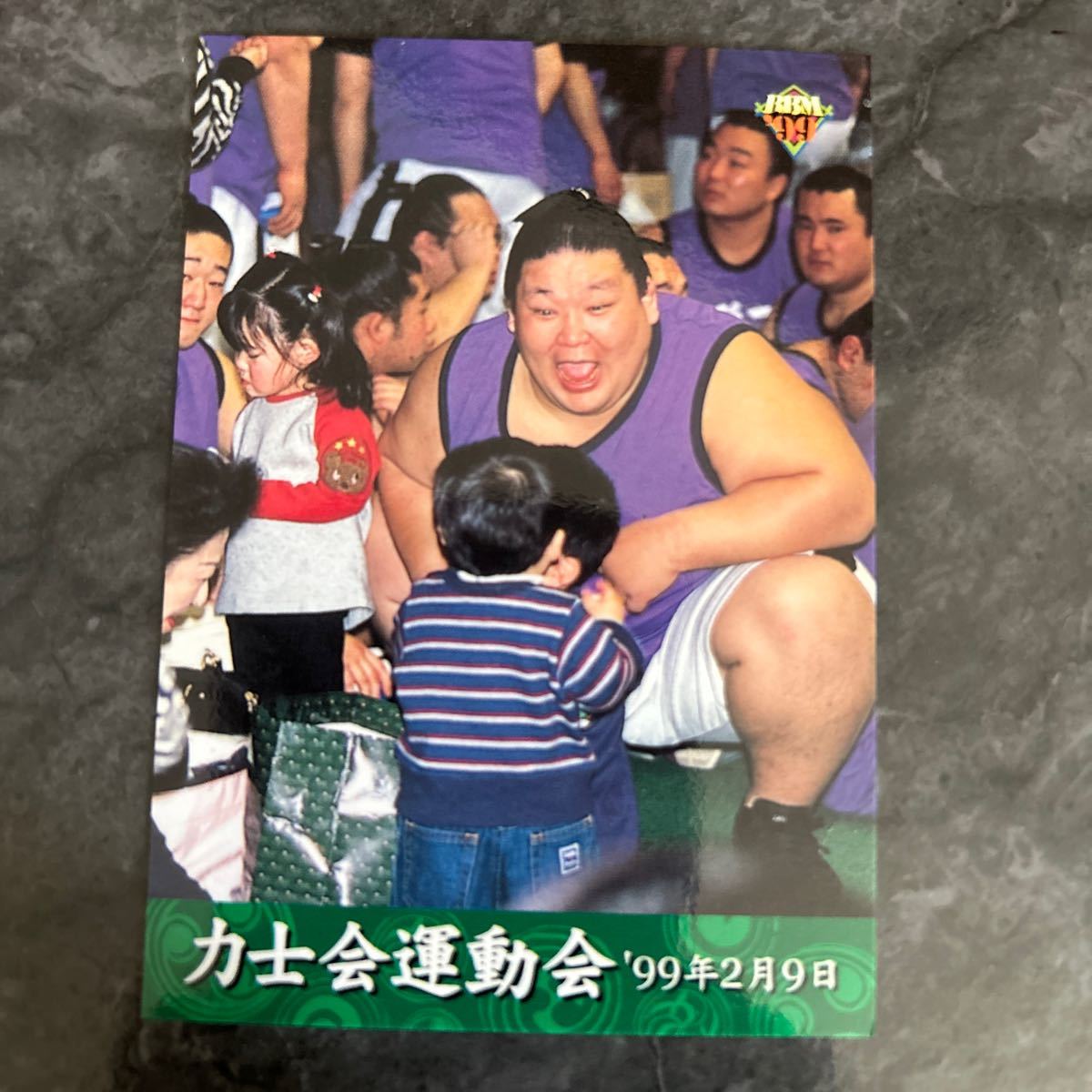 1999BBM 下半期版166 力士会運動会　ふれあい　二所ノ関一門　大相撲カード　若乃花　安芸乃島　99年２月９日_画像1