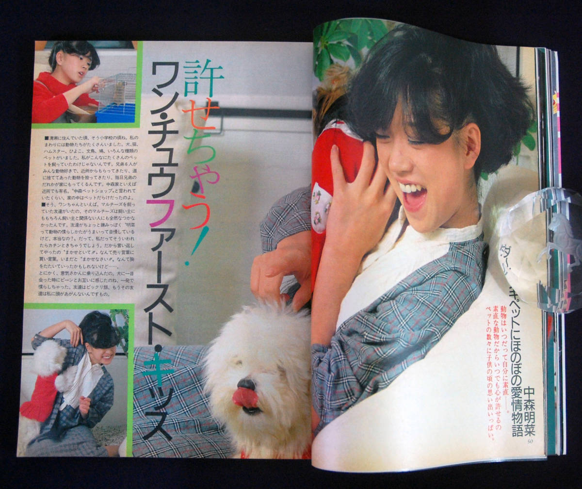 平凡 1984年2月号 田原俊彦/松田聖子/中森明菜/石川秀美/ザ 平凡 1984年2月号 田原俊彦/松田聖子/中森明菜/石川秀美/ザ