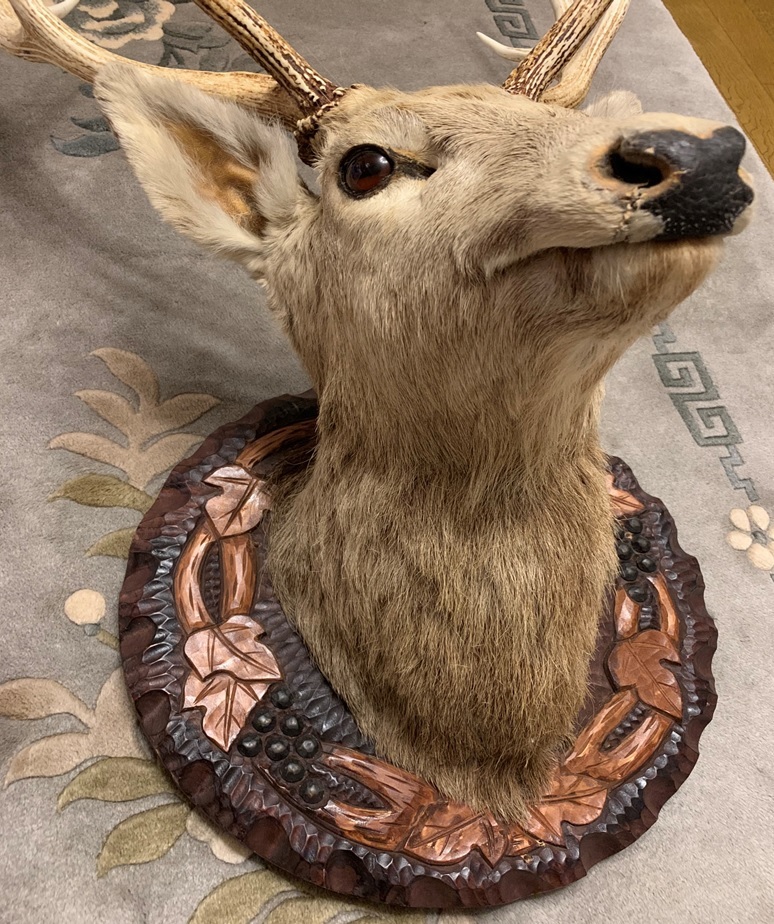 最大75％オフ！ 日本鹿 奈良の鹿 鹿の剥製 ハンティングトロフィー