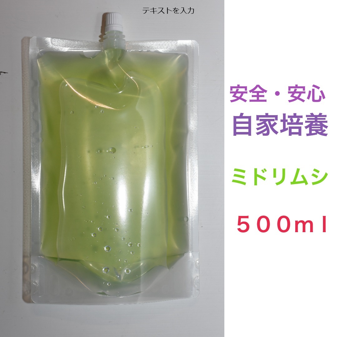 ミドリムシ・500ml　本物! 即日発送・送料無料・安心自家培養！　熱帯魚　観賞魚　稚魚　針子　メダカ　川魚　金魚　ベタ　微生物　初期餌_画像2