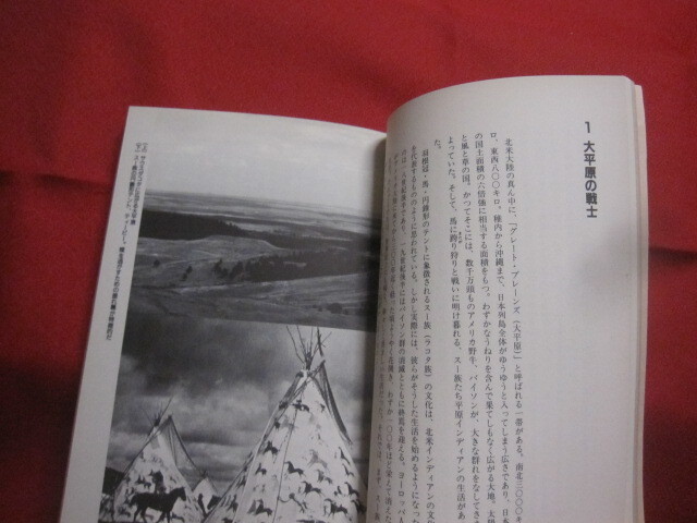 ☆ハウ・コラ　　　インディアンに学ぶ　　　　大平原に生きる北米インディアン・スー族の苦難の歴史と現状を、〈スー族の立場〉から描く。_画像5