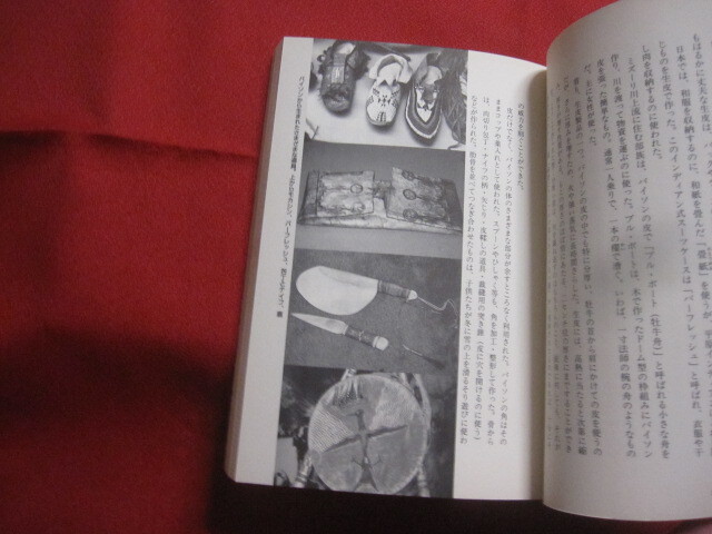 ☆ハウ・コラ　　　インディアンに学ぶ　　　　大平原に生きる北米インディアン・スー族の苦難の歴史と現状を、〈スー族の立場〉から描く。_画像7