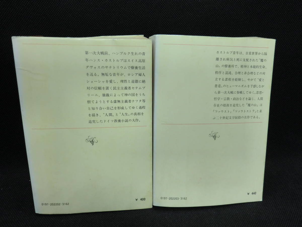 2冊セット　魔の山 上・下　トーマス・マン 著　高橋義孝 訳　新潮文庫　A3.240209_画像2