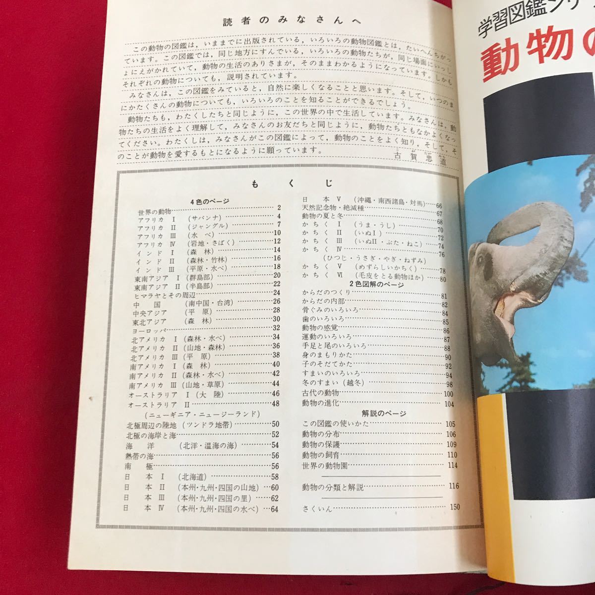 さ08-157 小学館の 花と園芸の図鑑 学習図鑑シリーズ 25_画像2