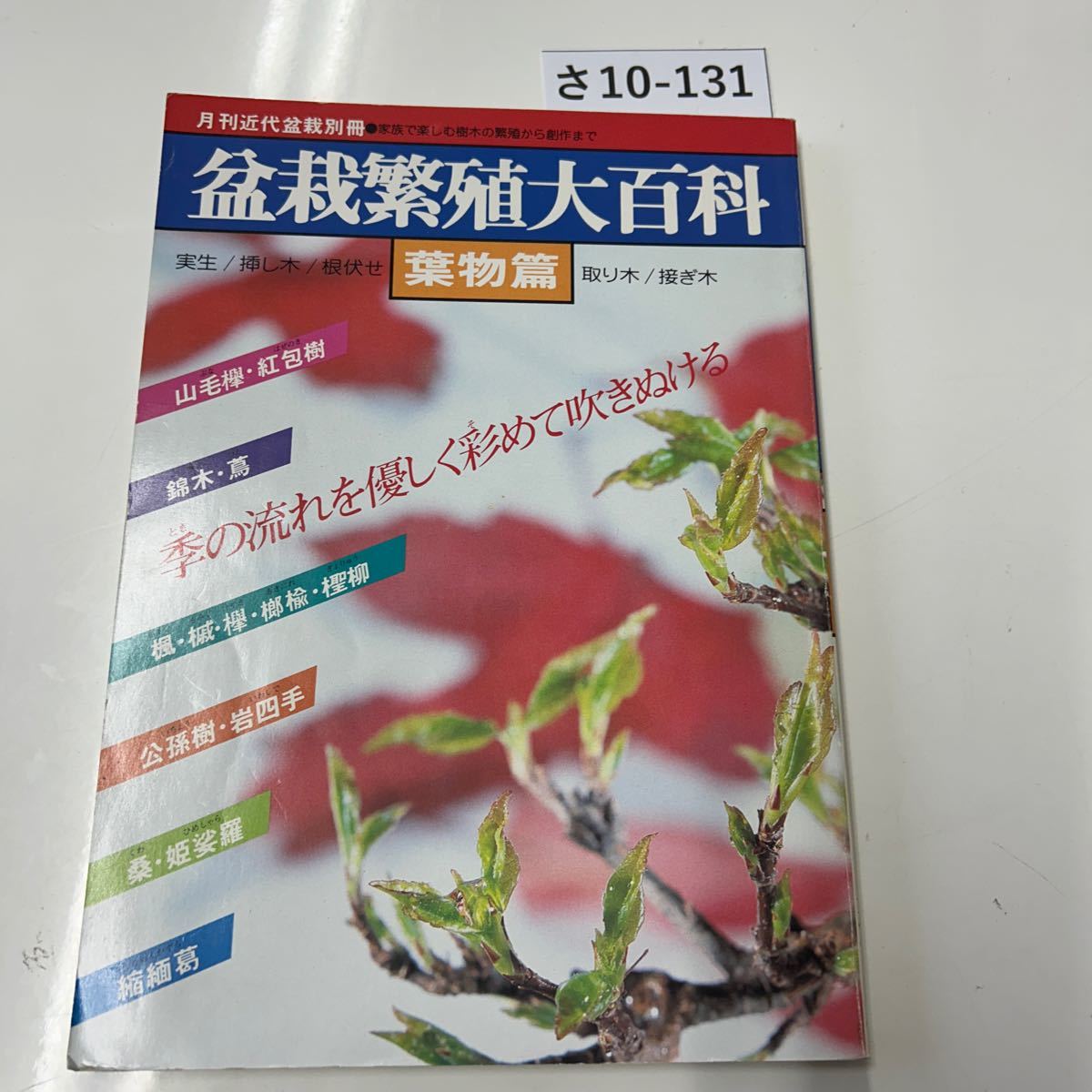 さ10-131 月刊近代盆栽別冊 家族で楽しむ樹木の繁殖から創作まで 盆栽繁殖大百科 実生/挿し木/根伏せ 葉物篇 取り木/接ぎ木の画像1