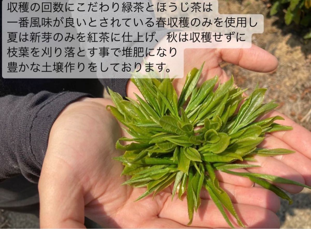 【無農薬】宇治抹茶20g(約20杯分) 化学肥料・除草剤・畜産堆肥不使用 2023年産