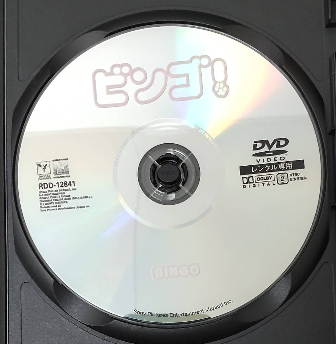 i2-2-2　ビンゴ！（洋画）RDD-12841 レンタルアップ 中古 DVD _画像4
