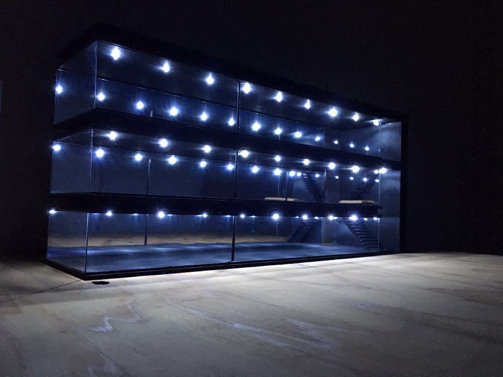 カーディーラー3階 ブラックモデル ジオラマ模型 ミニカー鑑賞 LED 1/64,1/43_画像7