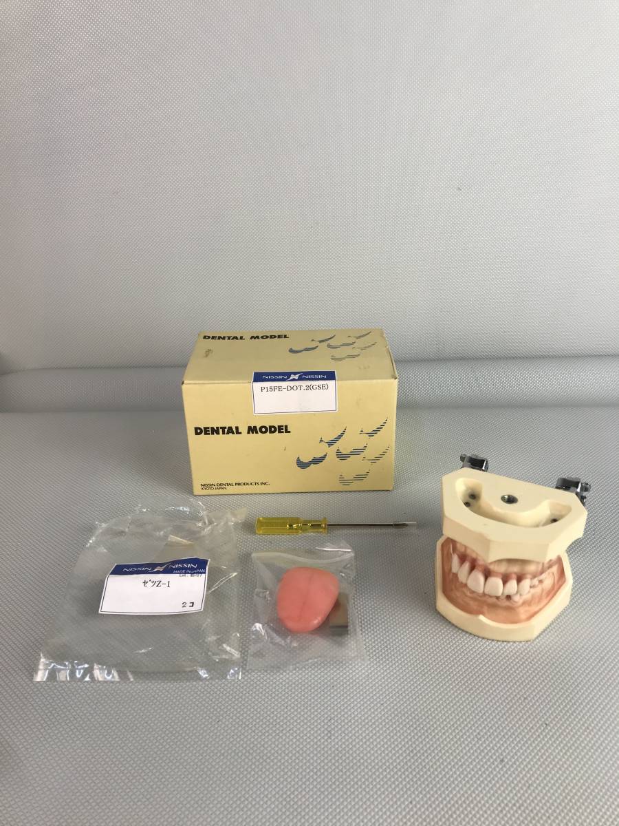 A9826●NISSIN ニッシン DENTAL MODEL デンタルモデル 162H-2 ゼツZ-1 歯科模型 歯科材料 歯医者 模型 歯 中古の画像1