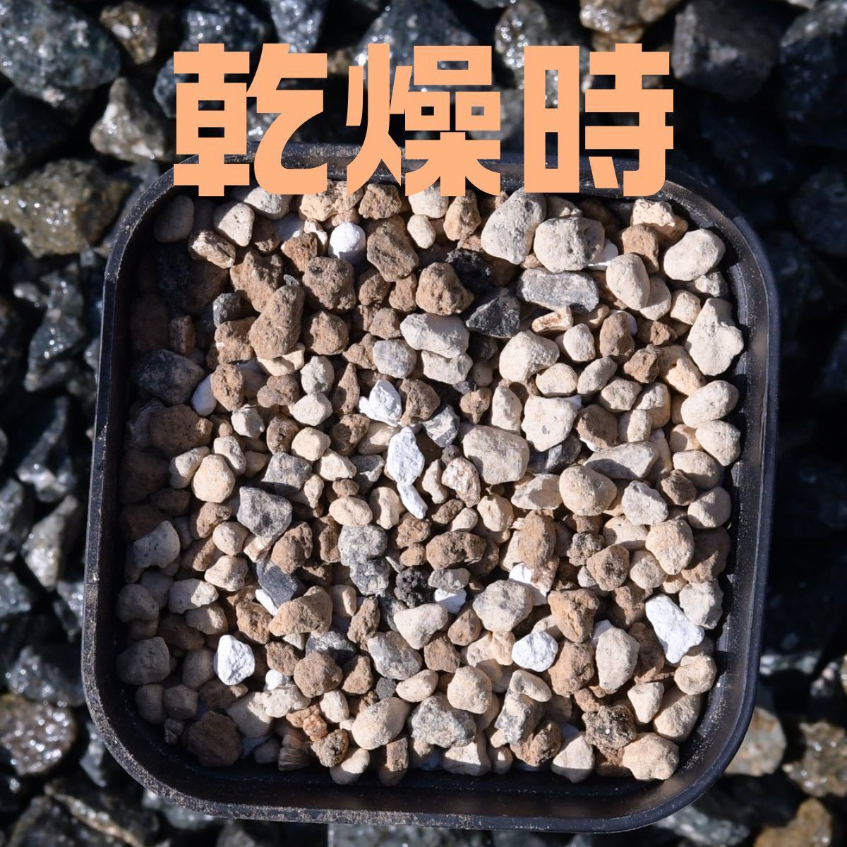 . root plant succulent plant decorative plant potting soil 3 liter 3L small bead carbide quality three line red sphere earth .... earth . raw sand zeo light Fuji sand gardening for earth 