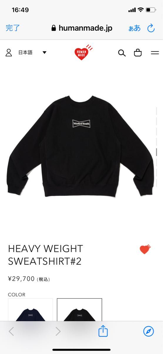 Wasted Youth Heavy Weight Sweatshirt
