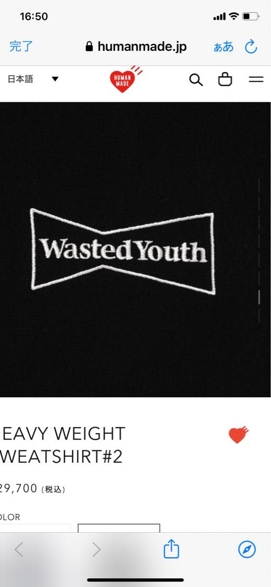 Wasted Youth Heavy Weight Sweatshirt