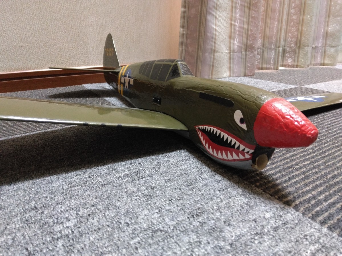 ラジコングライダー
