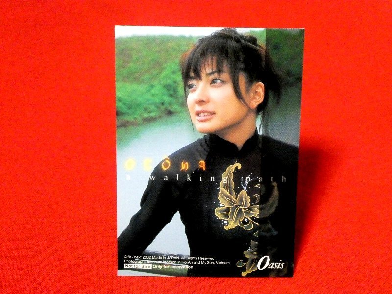 乙葉　Fit　OASIS　OTOHA　TradingCard　非売品　カードトレカ_画像2