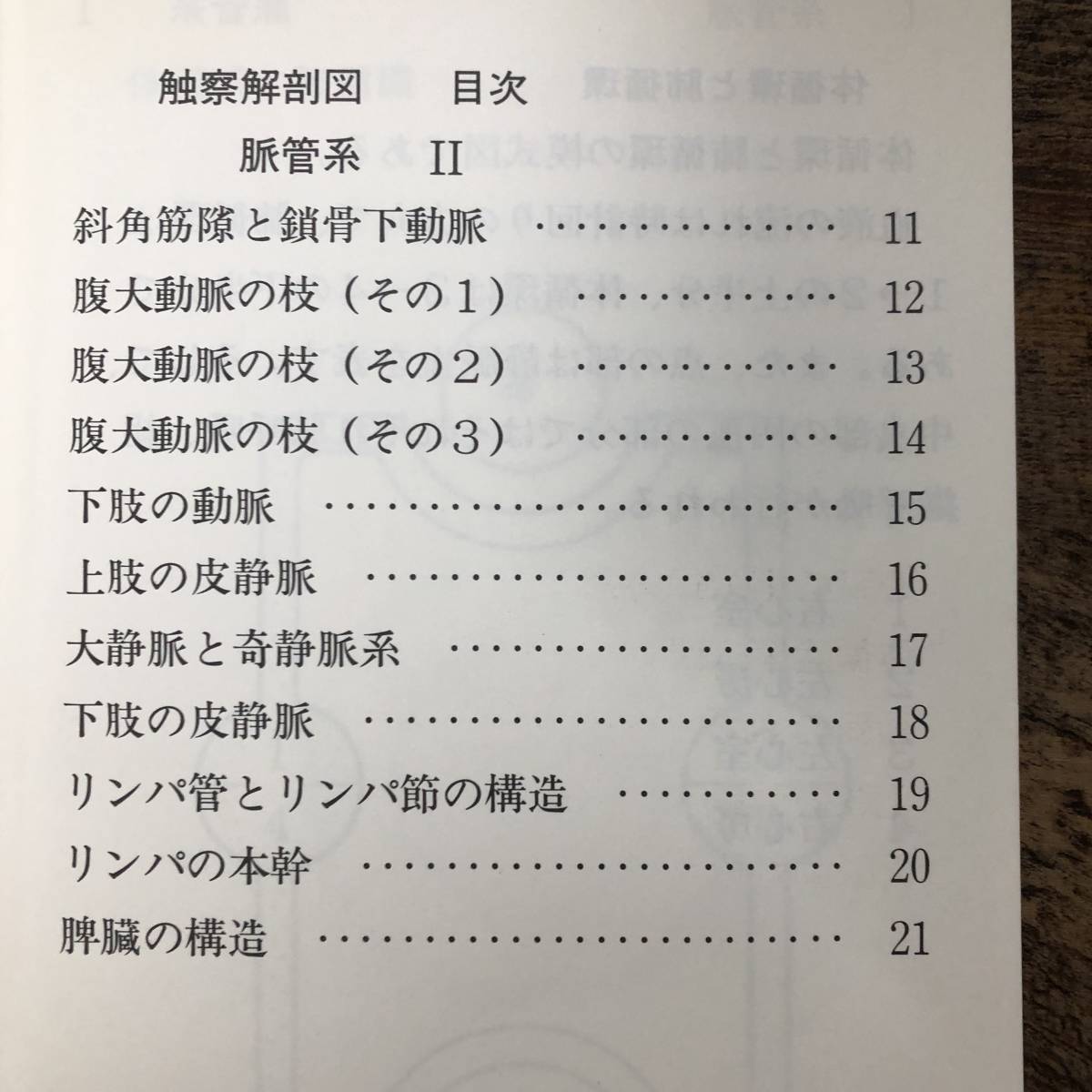 K-1190■3冊セット 触察解剖図 1～3(墨字版) ■脈管系 骨格系 筋系 内臓系 神経系■触察解剖図研究会■1986年頃発行_画像5