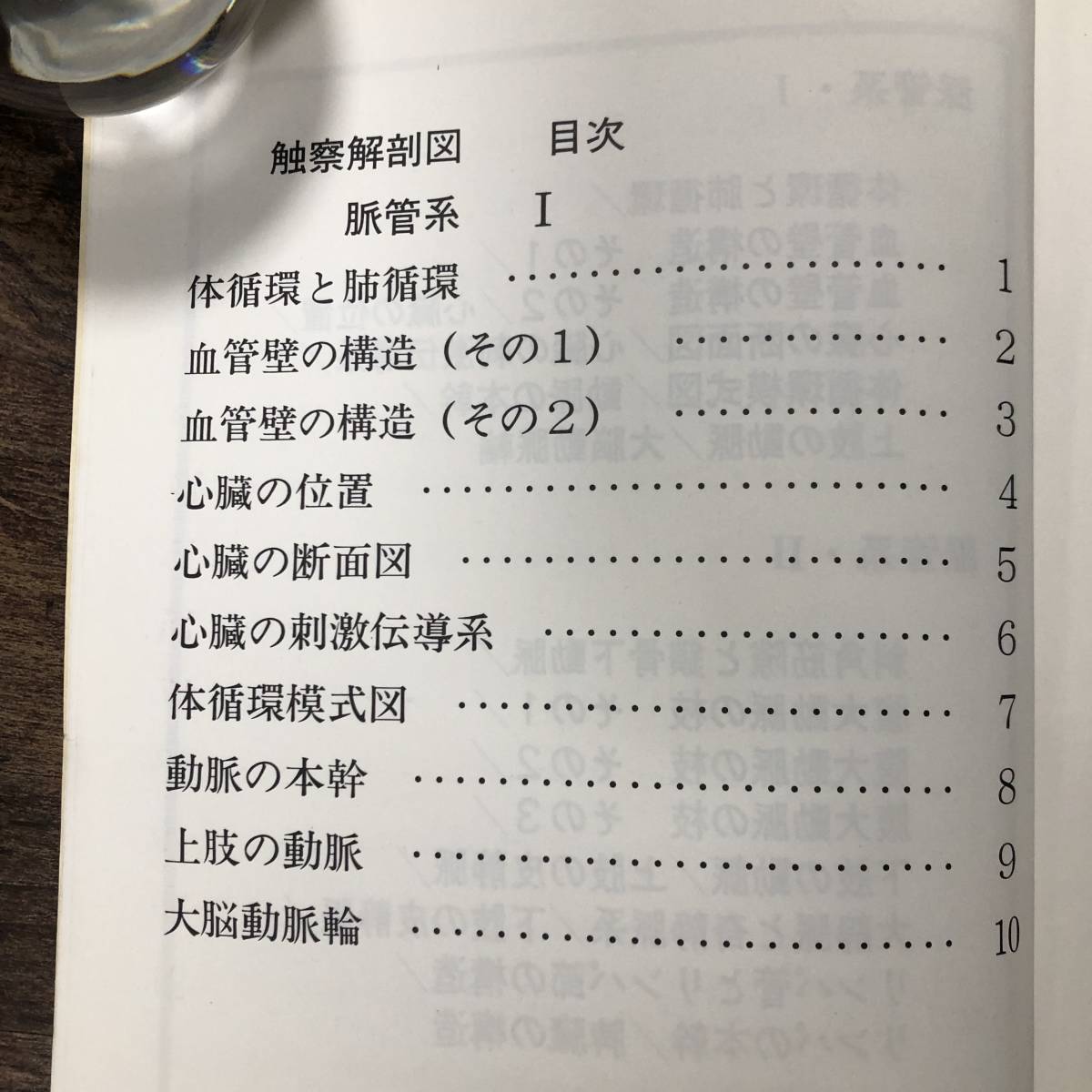 K-1190■3冊セット 触察解剖図 1～3(墨字版) ■脈管系 骨格系 筋系 内臓系 神経系■触察解剖図研究会■1986年頃発行_画像4