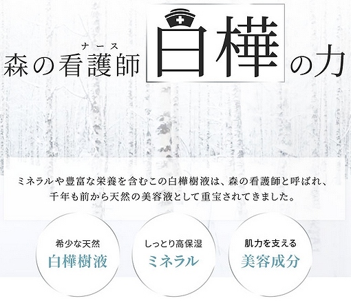 ①◆養生堂 KOIVE （コイヴ） モイスチャーライジングクリーム (クリーム） 50g　6点セット◆贅沢な白樺樹液のエイジングケア 基礎化粧品 _画像6