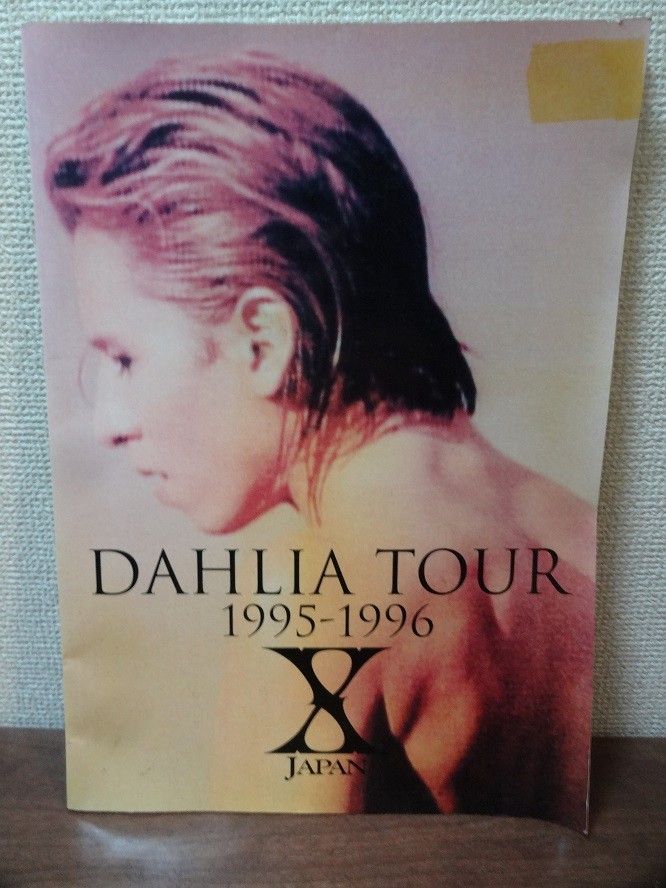 X JAPAN / エックス ジャパン グッズ セット hide Guitar X JAPAN / エックス ジャパン グッズ セット hide Guitar