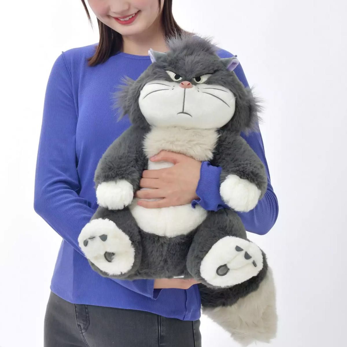 ディズニーストア 猫の日 ルシファー ぬいぐるみ|Yahoo!フリマ ディズニーストア 猫の日 ルシファー ぬいぐるみ|Yahoo!フリマ