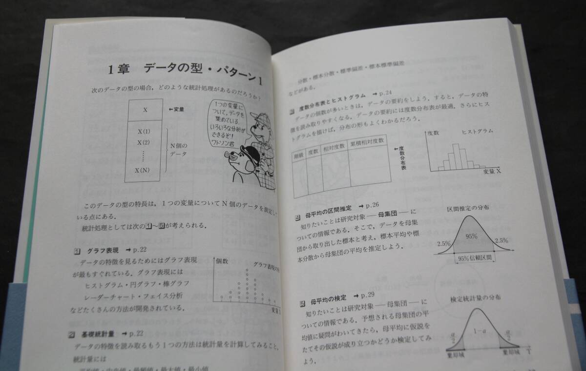 すぐわかる統計処理　データの型15のパターンから選ぶだけ、統計処理の選びかた　度数分布表／クラスター分析／グラフ表現／因子分析／他_ヤケはありません。