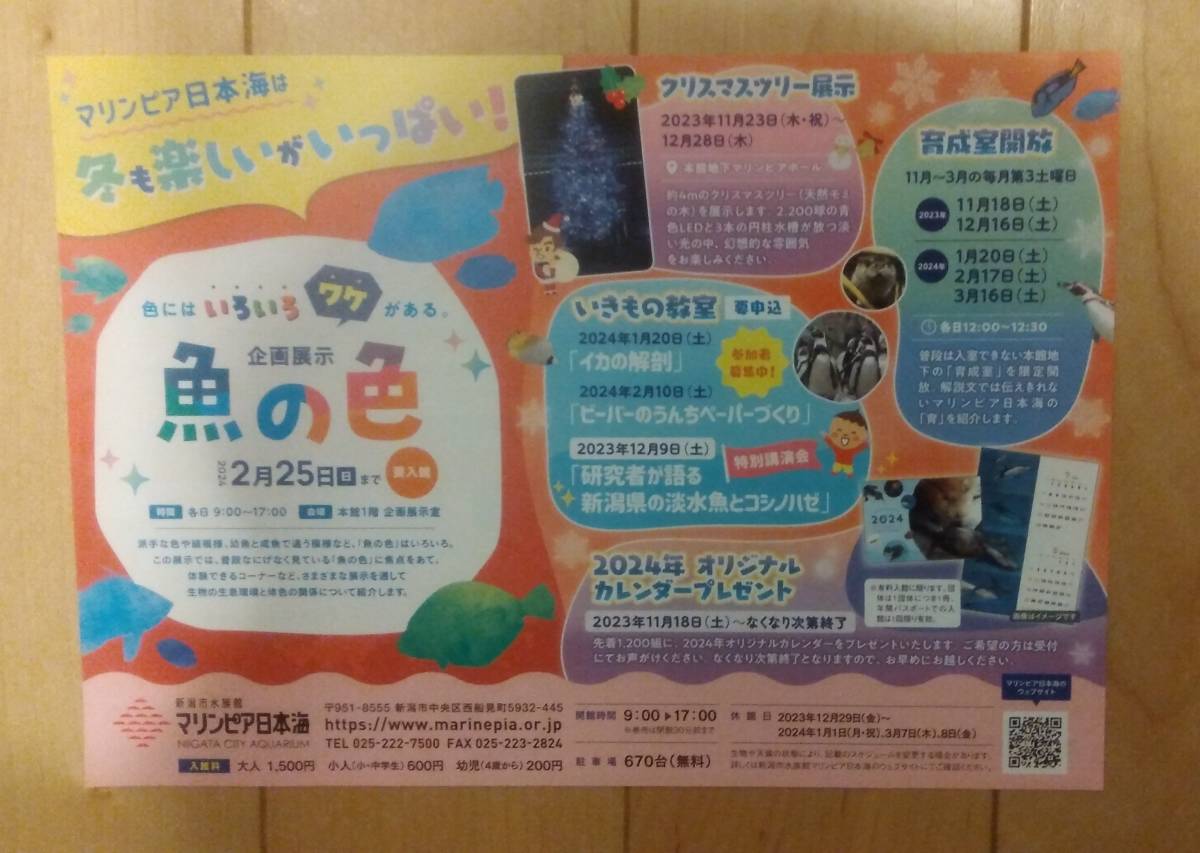 【送料無料】新潟市マリンピア日本海 割引券_画像2