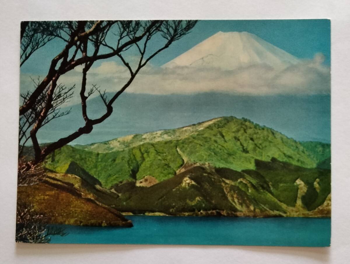 絵葉書　富士山　箱根より見たる富士山_画像1