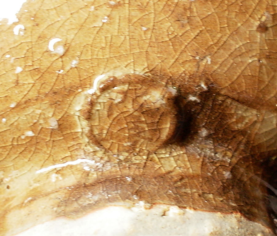 Hagi . чашка длина . обжиг в печи . рисовое поле .. структура