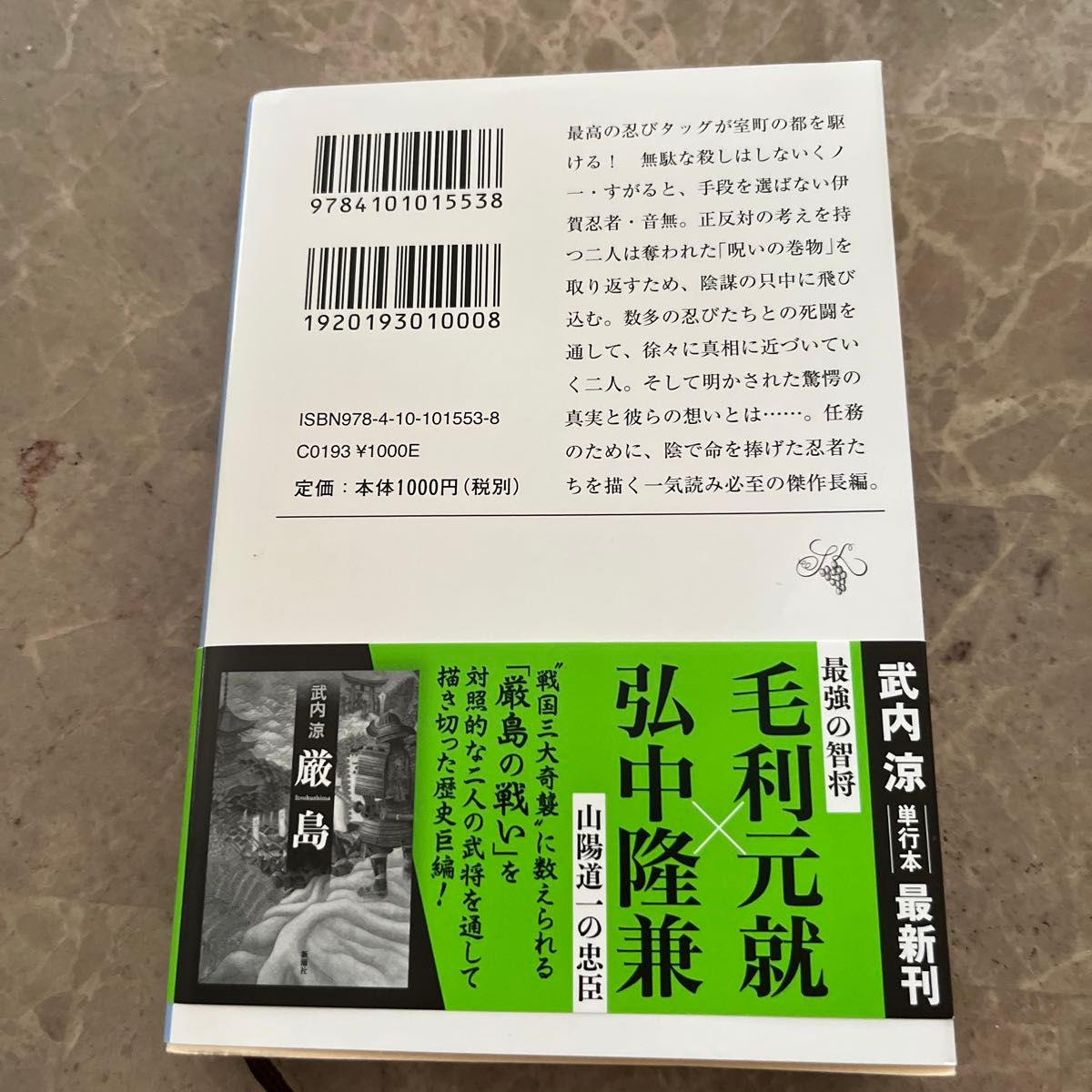 阿修羅草紙 （新潮文庫　た－１２７－３） 武内涼／著