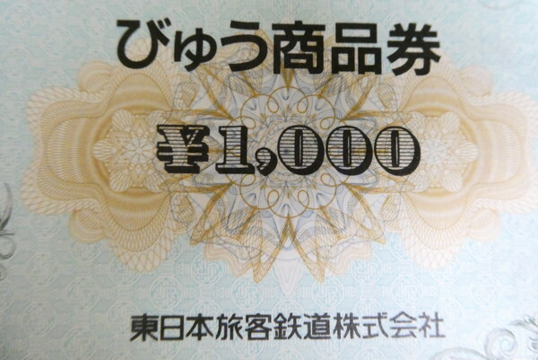 ス180-③-16　びゅう商品券 6000円分 東日本旅客鉄道 JR東日本　未使用　_画像3