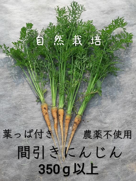 【自然栽培】葉っぱ付き にんじん☆350g以上☆ 農薬不使用_画像1