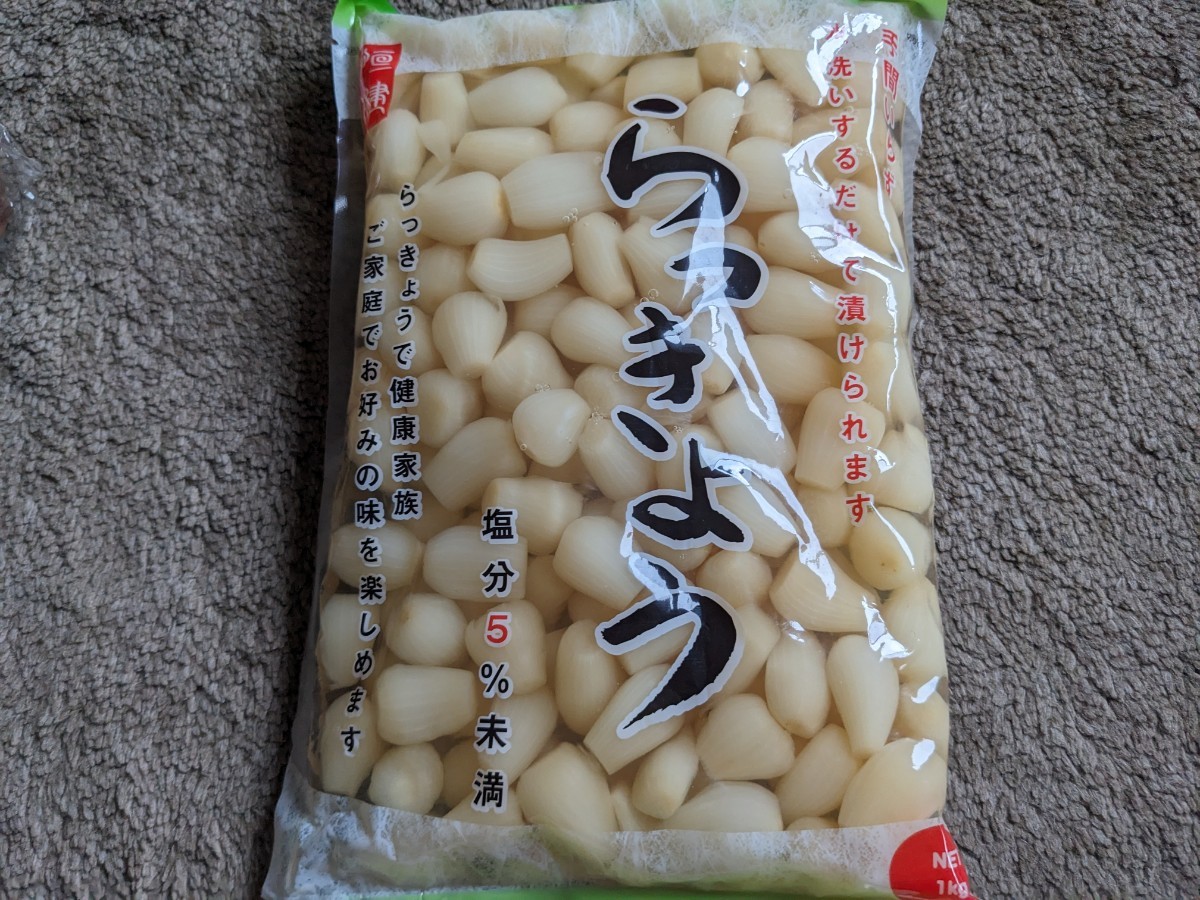 送料無料 恒健 らっきょう塩漬け 1kg|Yahoo!フリマ(旧PayPayフリマ)