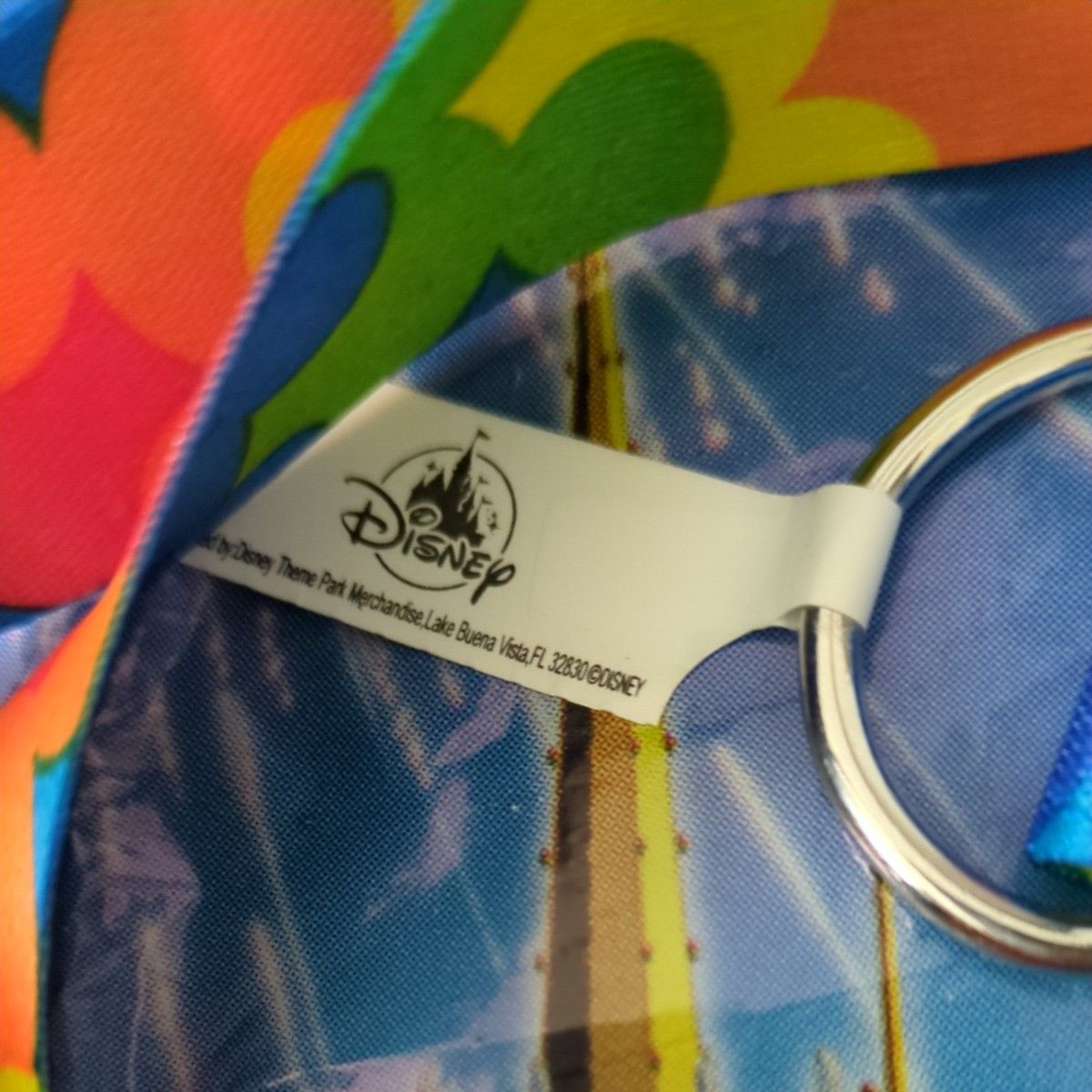 カリフォルニア アメリカ ディズニー パーク 限定 ネック ストラップ ピンズ アクセサリー ミッキー マウス カラフル 虹色