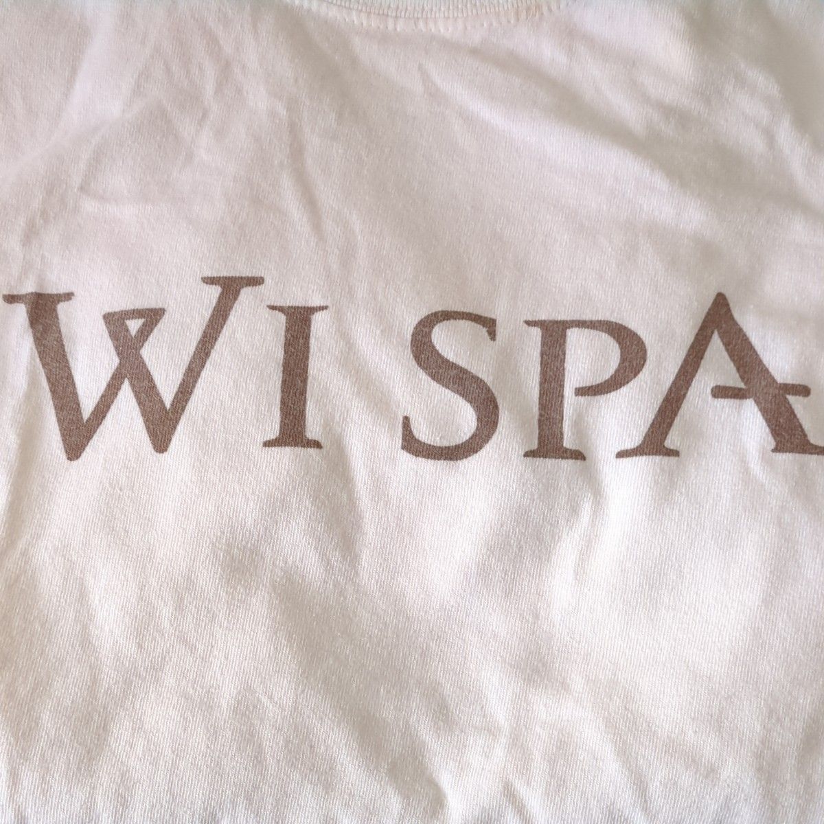 カリフォルニア Wi Spa スパ 非売品 Tシャツ 半袖 ホワイト L Mens メンズ 整う 入浴 アメリカ 限定 スリッパ