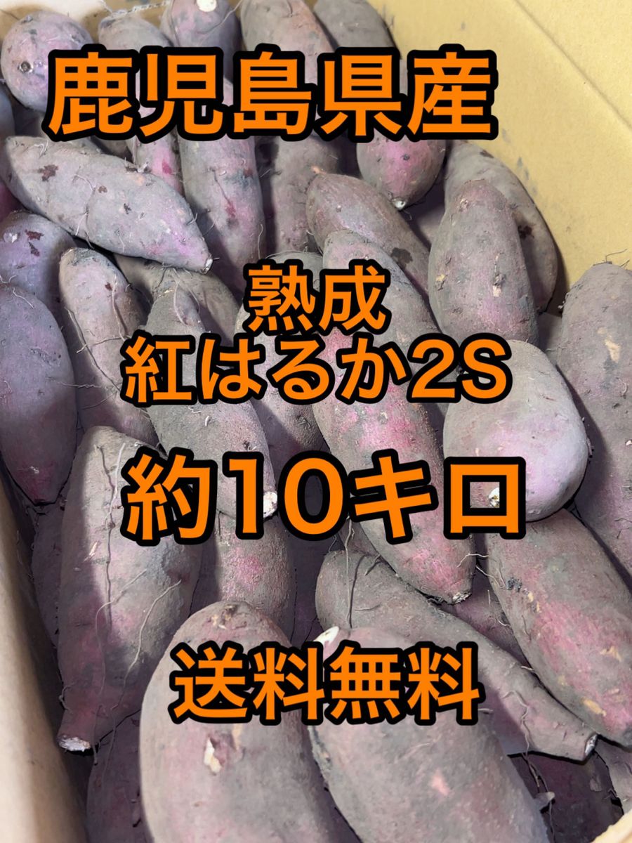 鹿児島県産 熟成 紅はるか 2S 箱込10キロ - 野菜
