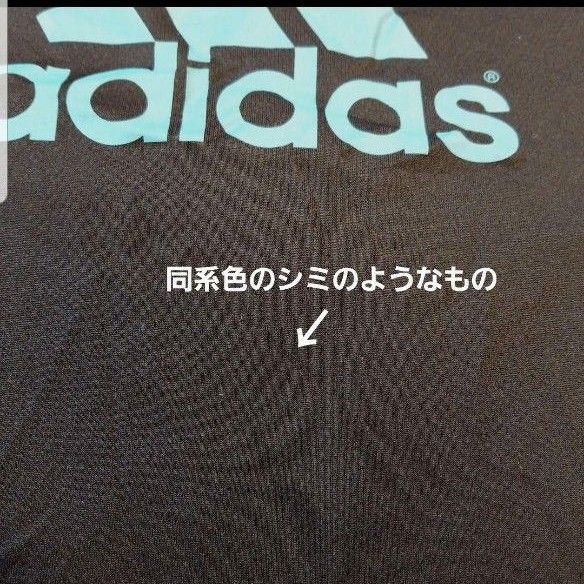 新品 チャンピオン ジャンパー アディダス Tシャツ ジャージパンツ 160cm adidas 男の子 スポーツウエア 