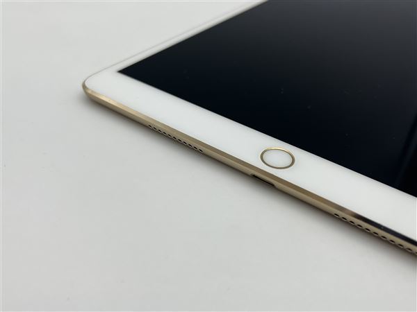 iPadPro 10.5インチ 第1世代[512GB] セルラー docomo ゴールド…_画像9