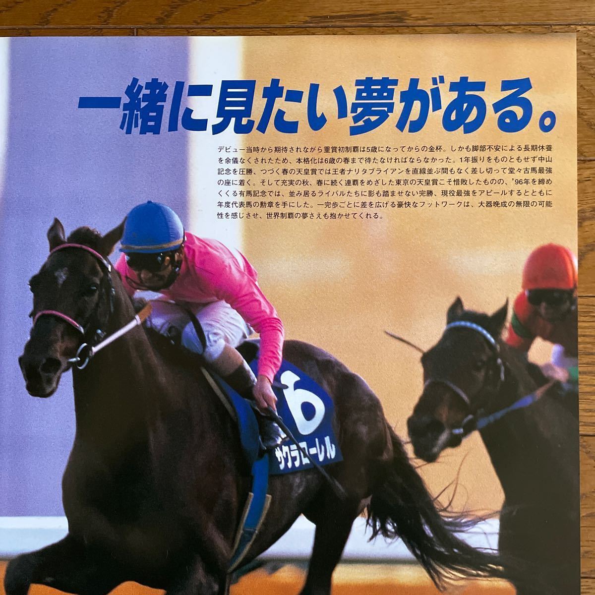 JRA ヒーロー列伝 NO.41 サクラローレル B3 ポスター_画像2