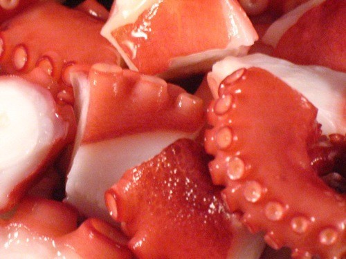Разрежьте осьминог замороженного осьминога Jbr3 Cut Cut Octopus 4/5G 1KG Pac