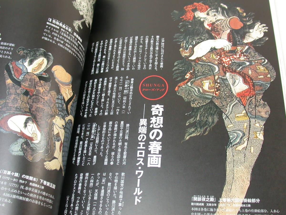 夢/別冊太陽/春画/北斎波千鳥の謎/江戸の絵師48人/2006年/初版_画像5