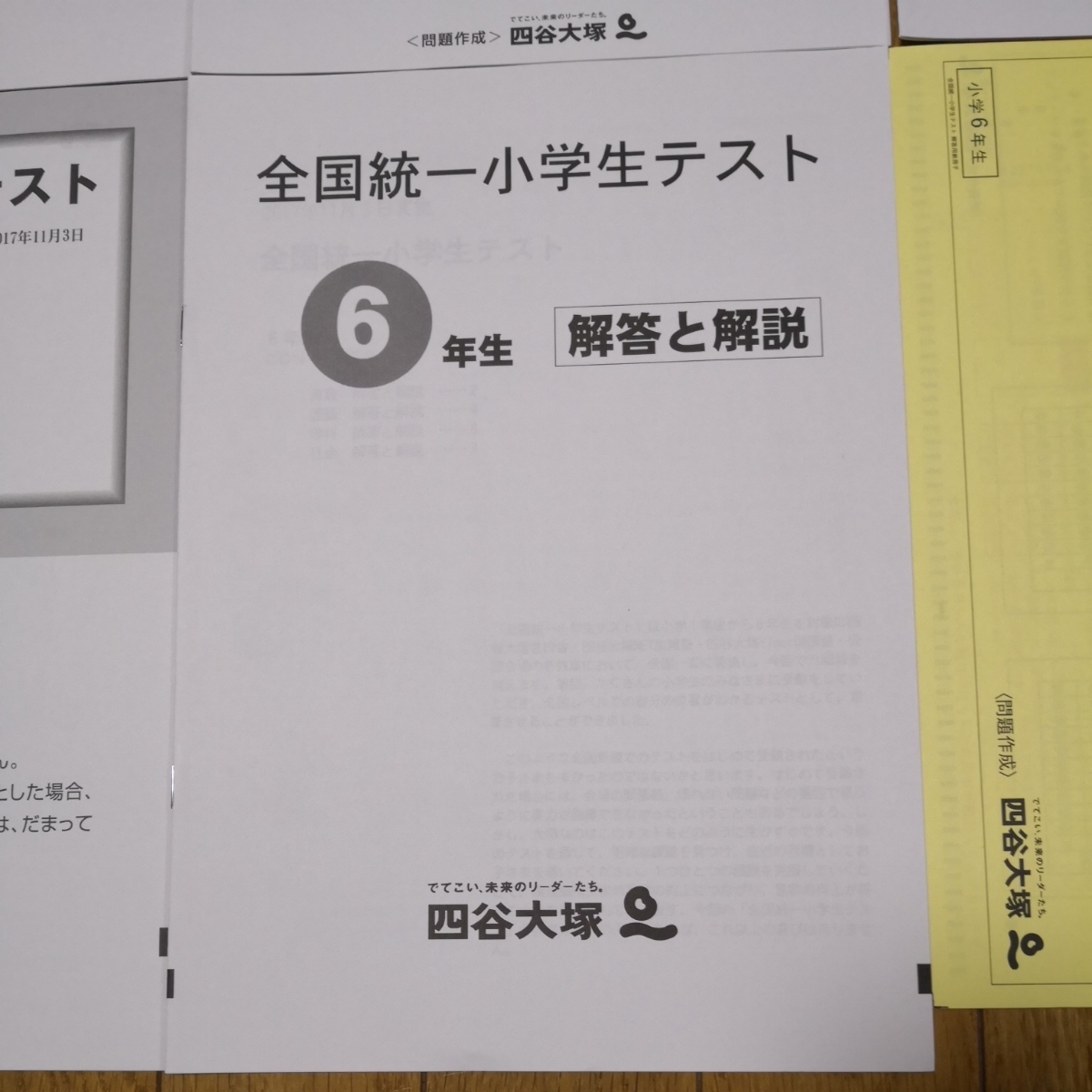 【99】全国統一小学生テスト　小6 2017年11月3日実施 算国理社問題　解答用紙　解答解説付_画像6