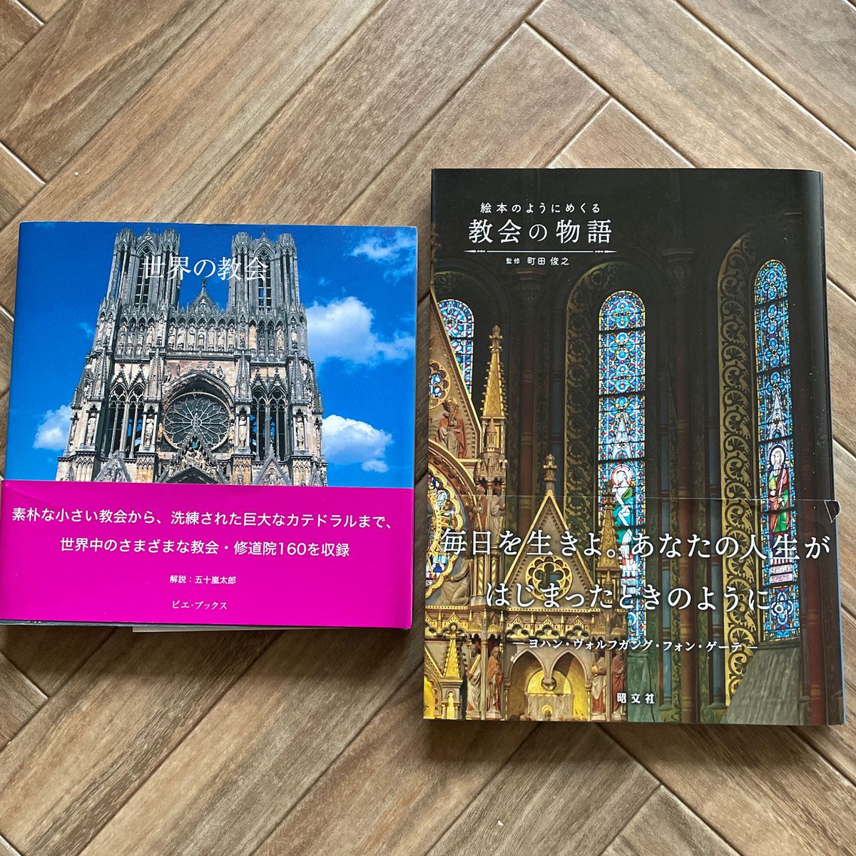 絵本のようにめくる教会の物語 町田俊之／監修　世界の教会　五十嵐太郎／解説